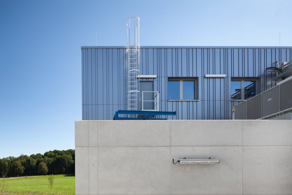 Einzügige Steigleiter mit Rückenschutz Edelstahl Produktbild img2 L