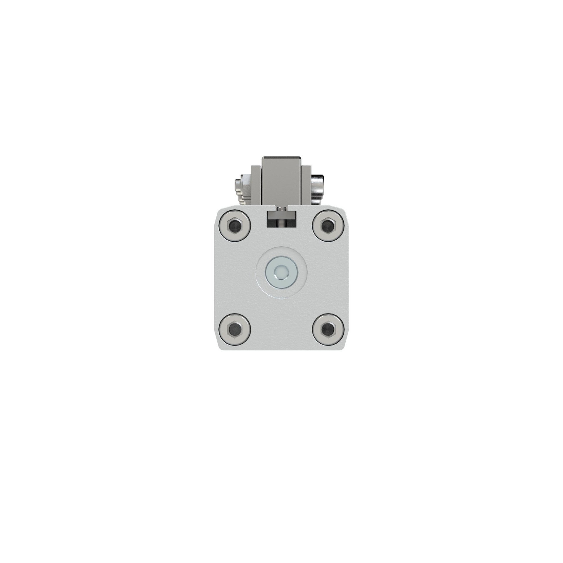 RIEGLER Kolbenstangenloser Zylinder ZRL1C, Ø 16, Hub 100, Standard Produktbild img4 L