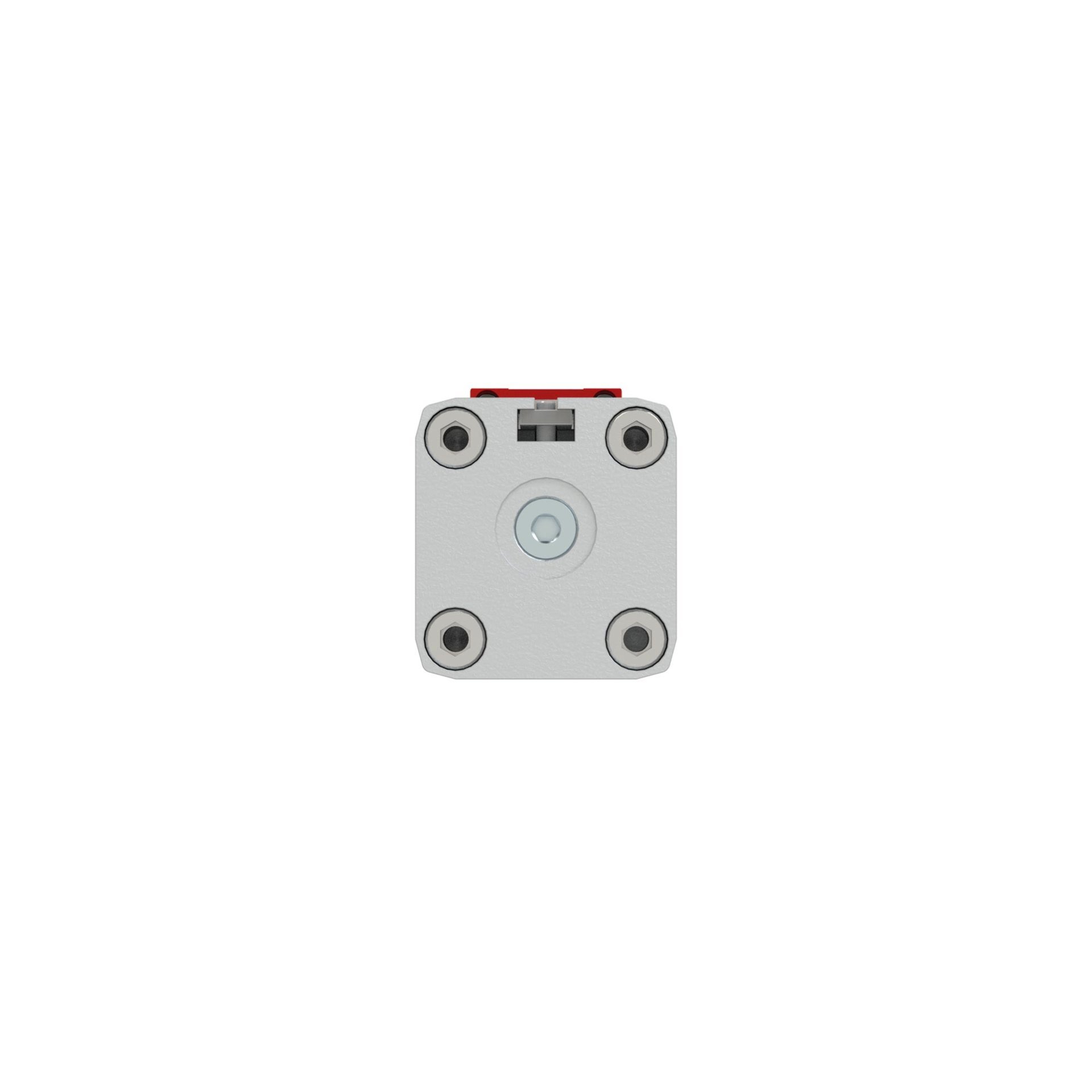RIEGLER Kolbenstangenloser Zylinder ZRL1F, Ø 32, Hub 700, Standard Produktbild img4 L