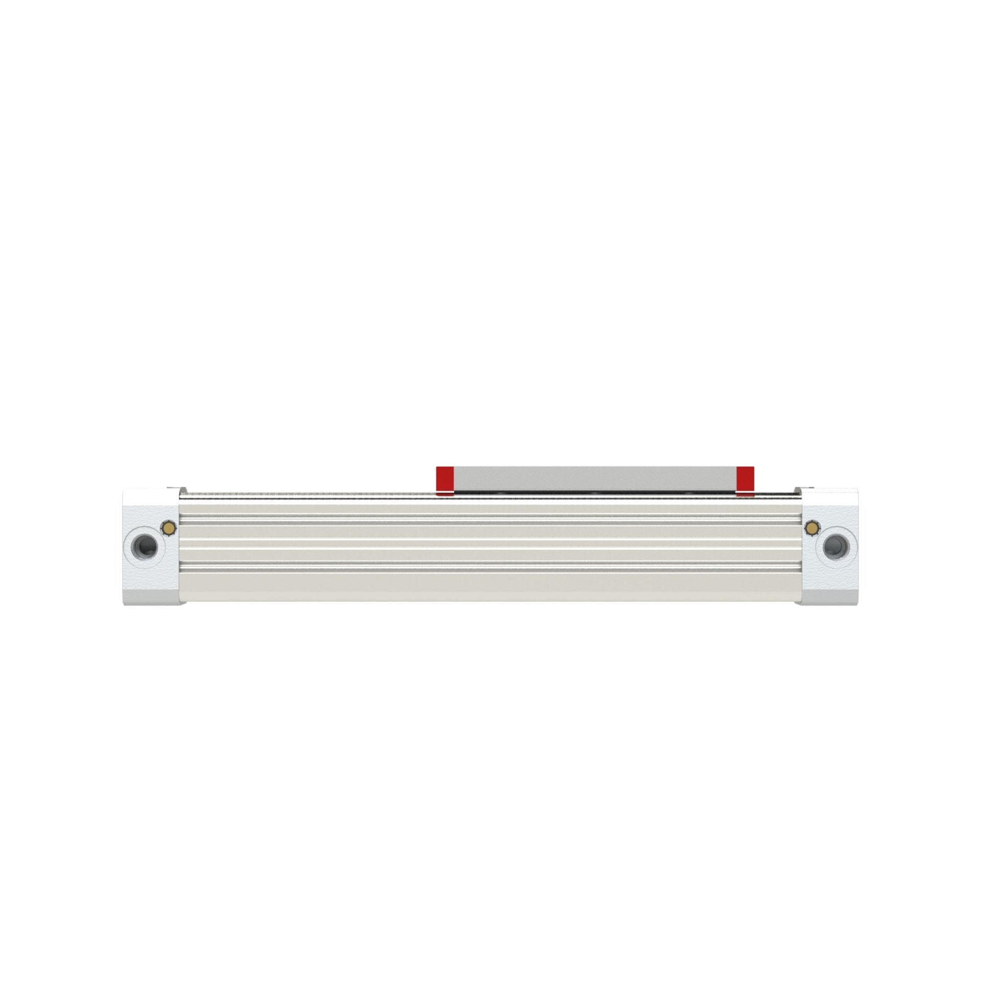 RIEGLER Kolbenstangenloser Zylinder ZRL1F, Ø 32, Hub 700, Standard Produktbild img5 L