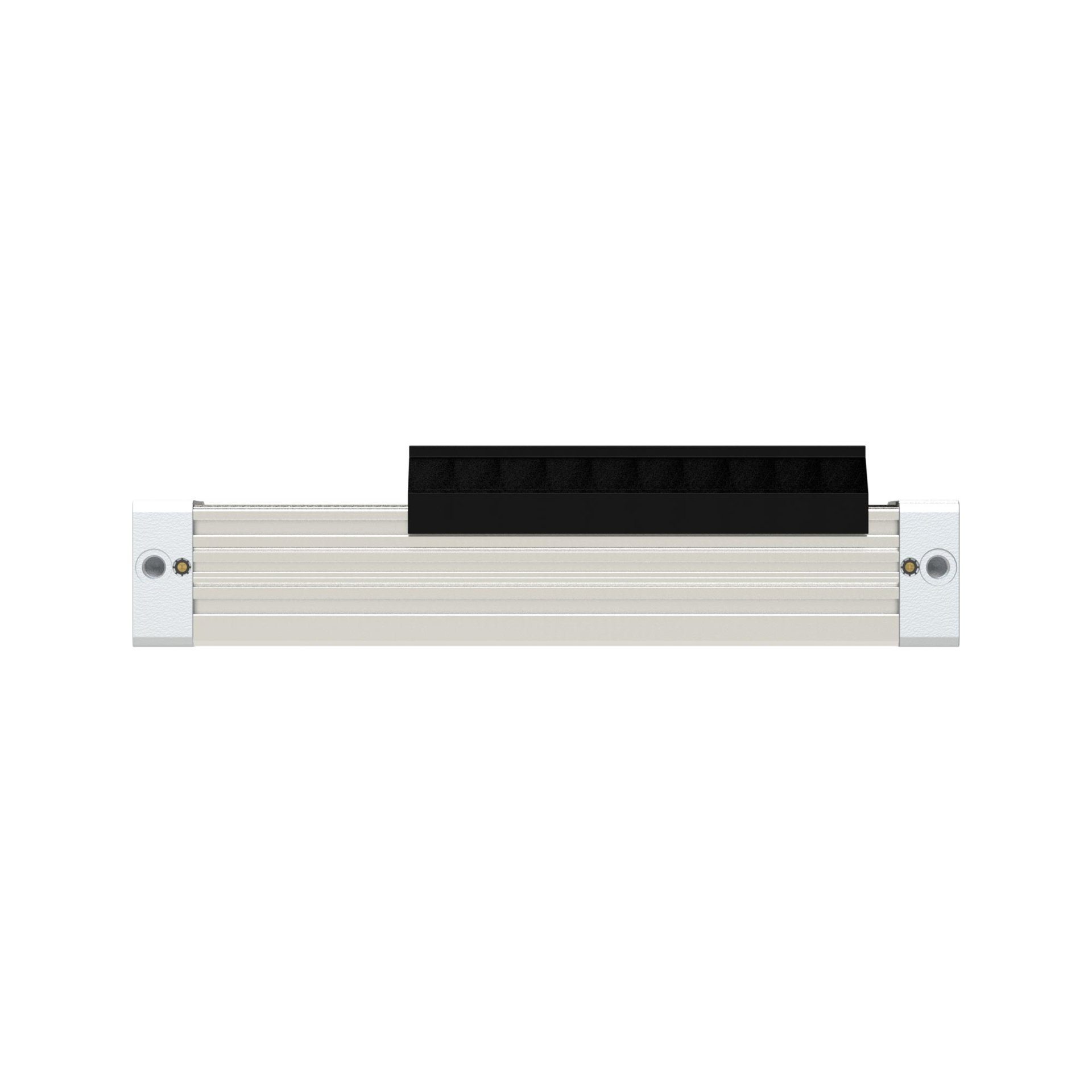 RIEGLER Kolbenstangenloser Zylinder  ZRL1S, Ø 40, Hub 250, Standard, Langsamlauf Produktbild img5 L