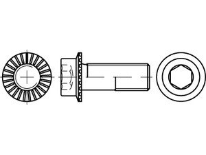 ART 88912 Innen-6-kt. Schr. Kl. 100 m. Sperr-Ripp, M 5 x 16 VE=S Produktbild img2 L