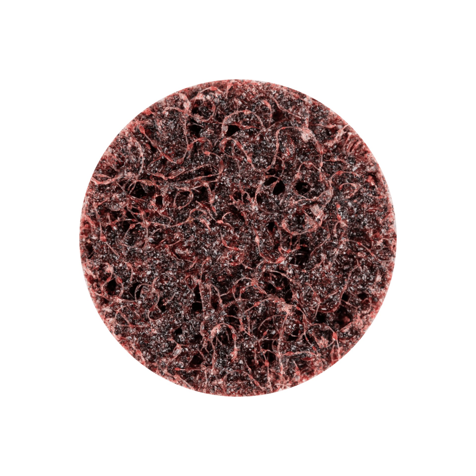 COMBIDISC harte Vliesronde CD Ø 25 mm A180M für Feinschliff und Finish Produktbild img2 L