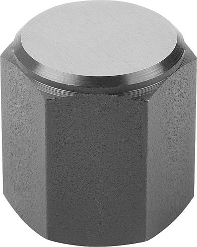 POSITIONSFUß, FORM:D, AUTOM.STAHL BRÜN. U. EINSATZGEHÄRTET, SW=30 Produktbild img1 L