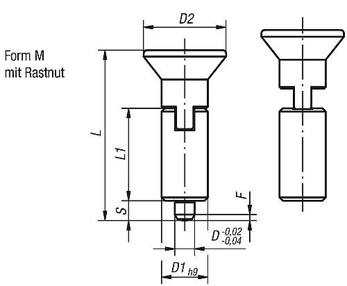ARRETIERBOLZEN MIT RASTNUT GR.1, FORM:M, EDELSTAHL UNGEHÄRTET, KOMP:THERMOPLA... Produktbild img2 L