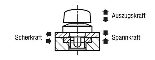 DREHSPANNRIEGEL MIT DREHKOPF, D=8, L=17, STAHL VERNICKELT, KOMP:KUNSTSTOFF SC... Produktbild img3 L