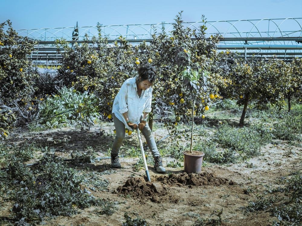 Spaten 5573 Produktbild img2 L