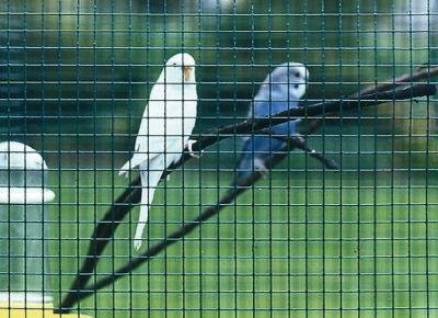 Casanet®Gitter, Kurzrolle Produktbild img1 L