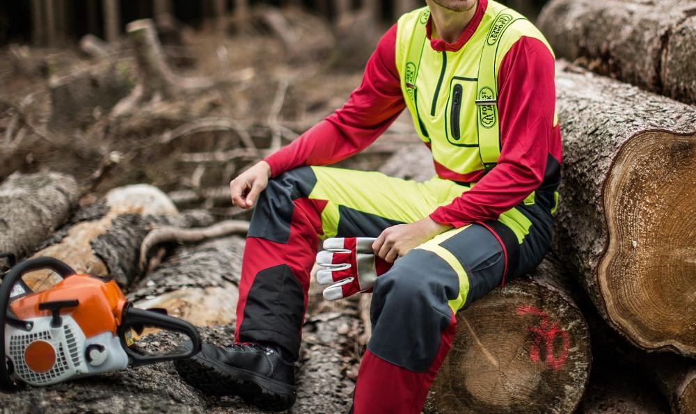 Stretchhose Forest Jack Produktbild img5 L