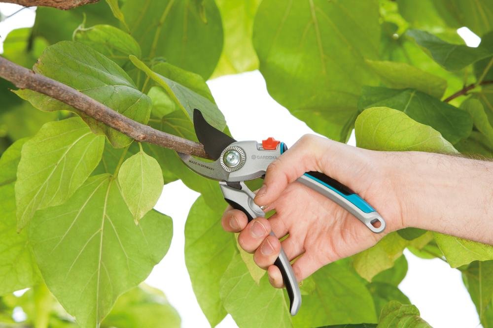 Alu-Gartenschere B/L Produktbild img2 L