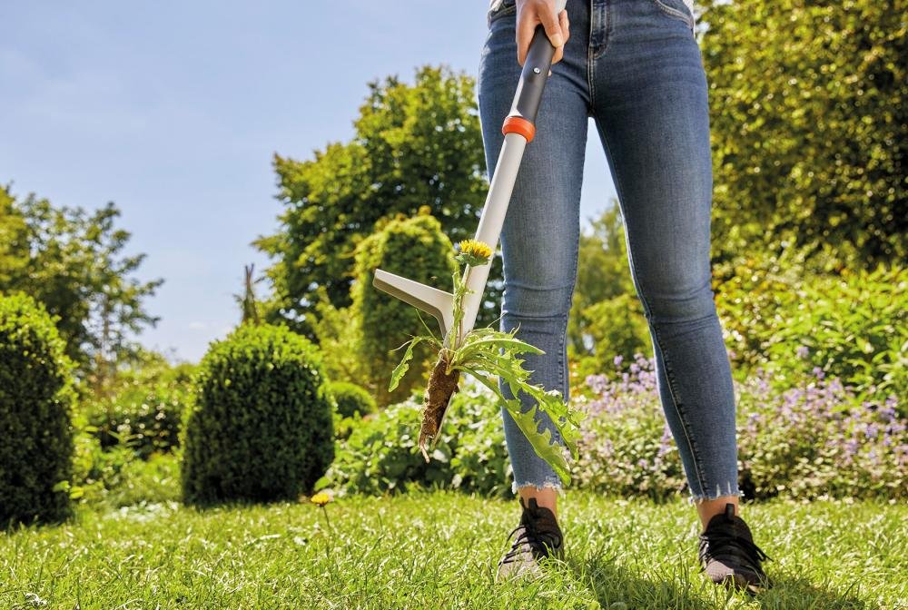 Unkrautstecher Produktbild img7 L