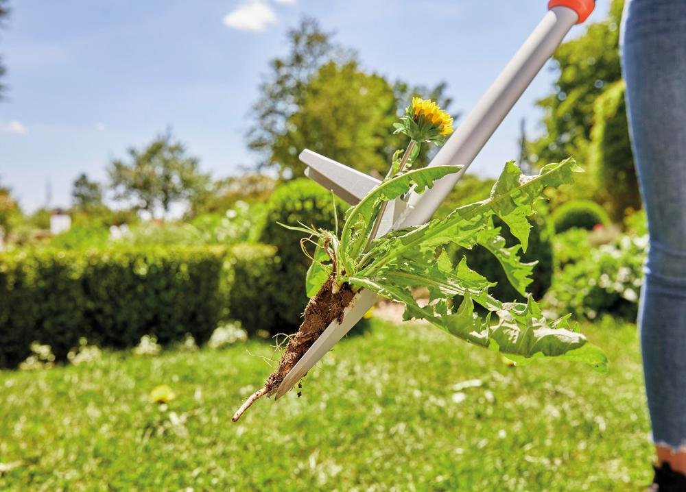 Unkrautstecher Produktbild img10 L