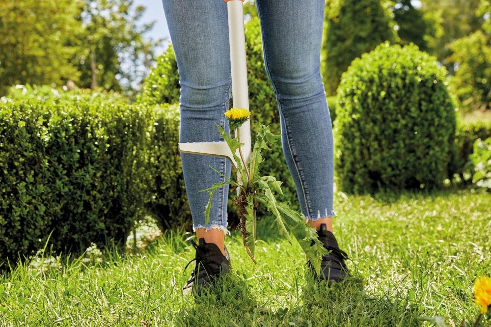 Unkrautstecher Produktbild img11 L