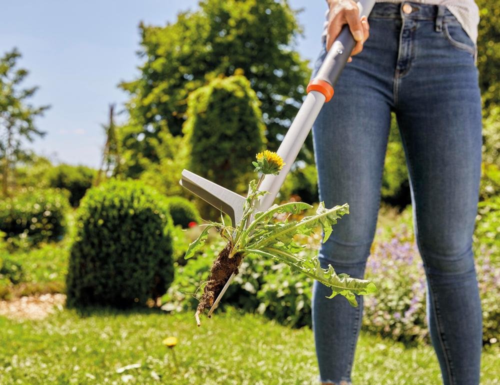 Unkrautstecher Produktbild img13 L