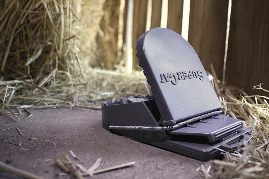 Rattenfalle SuperCat Produktbild img5 L