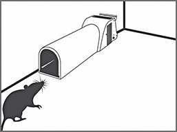 Mausefalle NoSeeNoTouch inkl. Köder SuperCat Swissinno Solution Produktbild img10 L