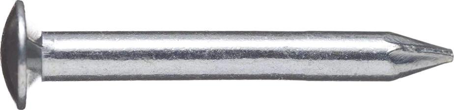 Hartstahlnagel, Linsenkopf (Klempnernagel), verzinkt Produktbild img1 L