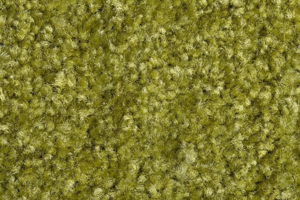 Schmutzfangmatte Eazycare Color, grün Produktbild img1 L