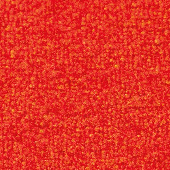 Schmutzfangmatte Eazycare Design Logomatte Produktbild img20 L