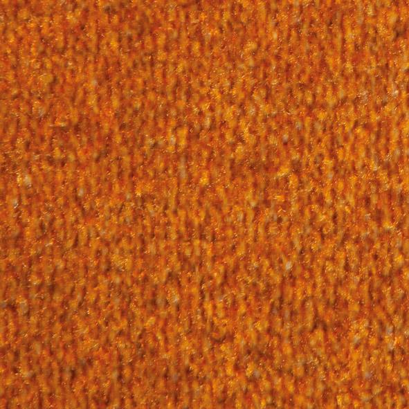 Schmutzfangmatte Eazycare Design Logomatte Produktbild img21 L