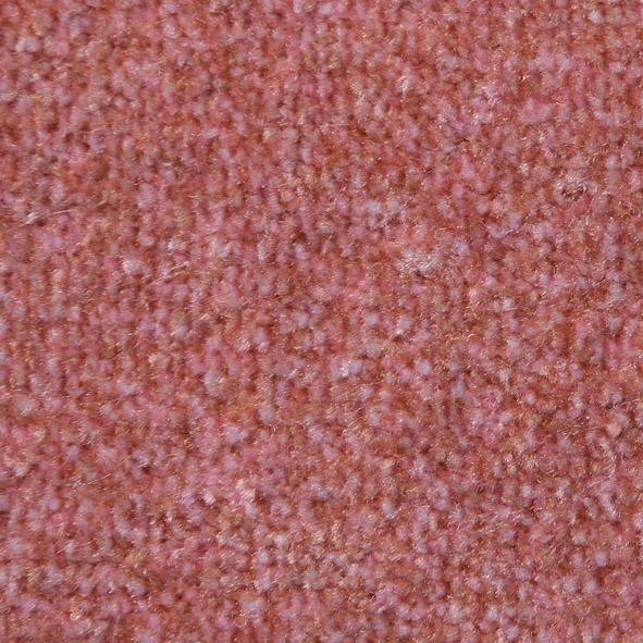 Schmutzfangmatte Eazycare Design Logomatte Produktbild img62 L