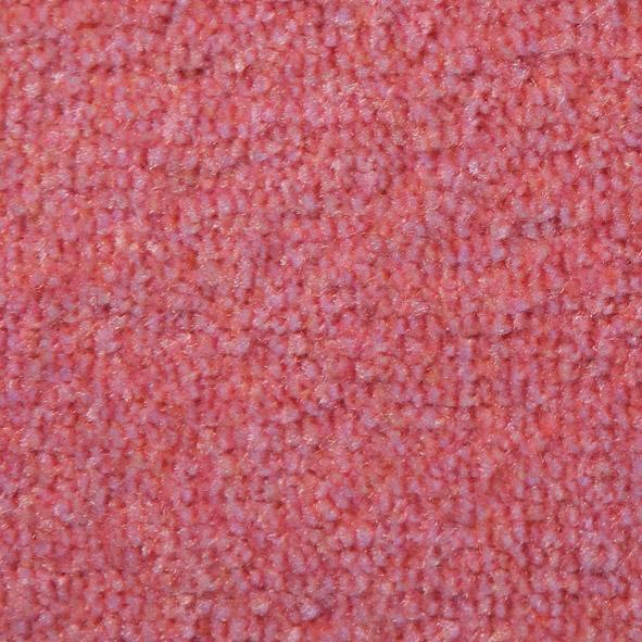 Schmutzfangmatte Eazycare Design Logomatte Produktbild img63 L