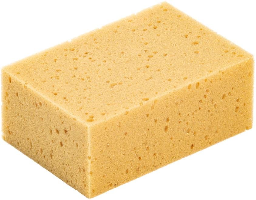 Fliesenschwamm, Natur Produktbild img1 L