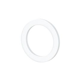 RIEGLER Dichtring aus PTFE, für Gewinde G 1/4, VPE 100 Stk. Produktbild