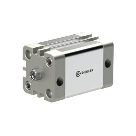RIEGLER Kompaktzylinder, doppeltwirkend, IG, K-Ø 63, Hub 150, G 1/8 Produktbild