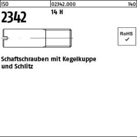 ISO 2342 Schaftschrauben mit Schlitz