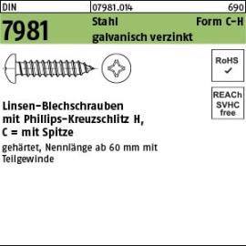 DIN 7981 Linsenkopf-Blechschrauben mit Kreuzschlitz