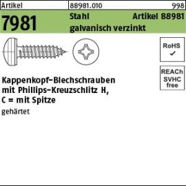 Artikel 88981 Kappen-Blechschrauben