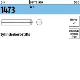 Reyher DIN 1473 A 1 Zylinderkerbstifte Produktbild