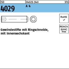 Reyher ISO 4029 A 4 Gewindestifte mit Ringschneide und Innensechskant Produktbild