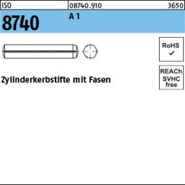 Reyher ISO 8740 A 1 Zylinderkerbstifte mit Fasen Produktbild