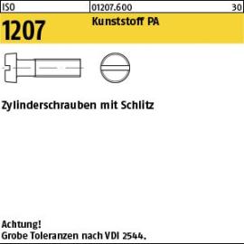 ISO 1207 Kunststoff PA Zylinderschrauben mit Schlitz Produktbild