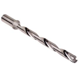 Bohrkörper für Wechselköpfe (Hydra)