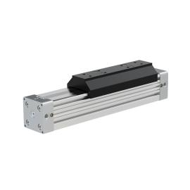 RIEGLER Kolbenstangenloser Zylinder ZRL1S, Ø 40, Hub 250, Standard, Langsamlauf Produktbild