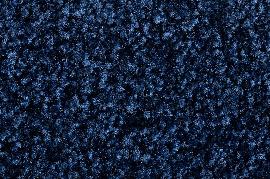 Schmutzfangmatte Eazycare Color, blau Produktbild