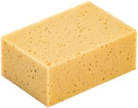 Fliesenschwamm, Natur Produktbild