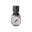 RIEGLER Druckregler »multifix-mini« inkl. Mano, BG 0, G 1/4, 0,1 - 3 bar Produktbild img5 S
