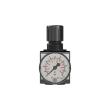 RIEGLER Druckregler »multifix«, inkl. Manometer, BG 1, G 1/4, 0,2 - 6 bar Produktbild img5 S
