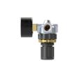 RIEGLER Druckregler »Standard-mini«, Schalttafelmutter, G 1/4, 0,1-3 bar Produktbild img6 S
