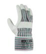 teXXor Rindvollleder-Handschuh BROCKEN Nr.: 1145 Gr.: 10 Produktbild img1 S