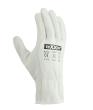 teXXor Rindnappaleder-Handschuh FAHRER Nr.: 1153 Gr.: 8 Produktbild img1 S