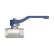RIEGLER Kugelhahn »valve line«, Handhebel blau, MS vernickelt , IG/IG, G 1 Produktbild img5 S