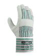 teXXor Rindvollleder-Handschuh MONTBLANC I Nr.: 1158 Produktbild img1 S