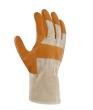 teXXor Möbelleder-Handschuh HELLES LEDER Nr.: 1165 Gr.: 10 Produktbild