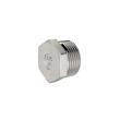 RIEGLER Verschlussstopfen, Sechskant, R 3/8, AG, SW 18, ES 1.4408 Produktbild img1 S