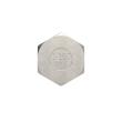 RIEGLER Verschlusskappe, Sechskant G 1 1/4, IG, SW 46, ES 1.4408 Produktbild img4 S
